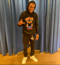 Load image into Gallery viewer, Sleepy Cool Shades Bear Chenille Hoody
